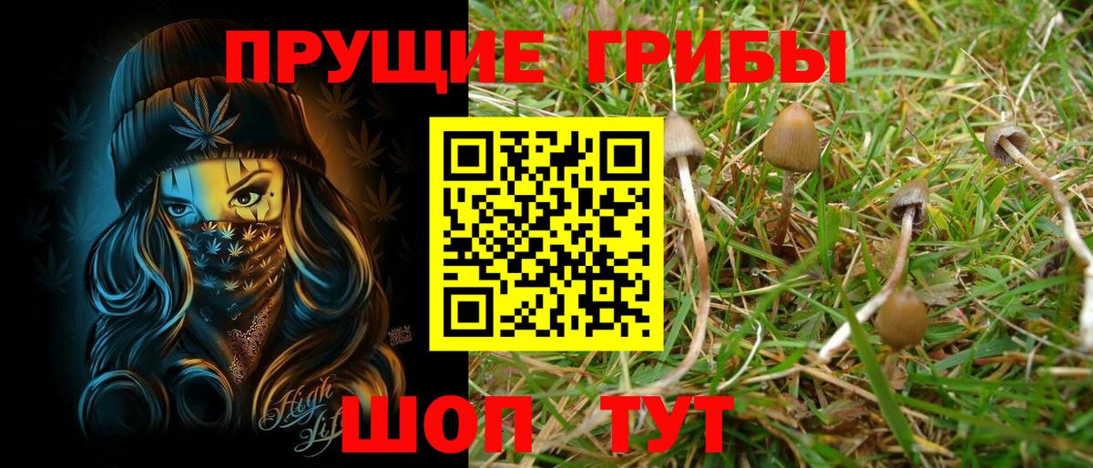 Псилоцибиновые грибы Psilocybine cubensis Белово