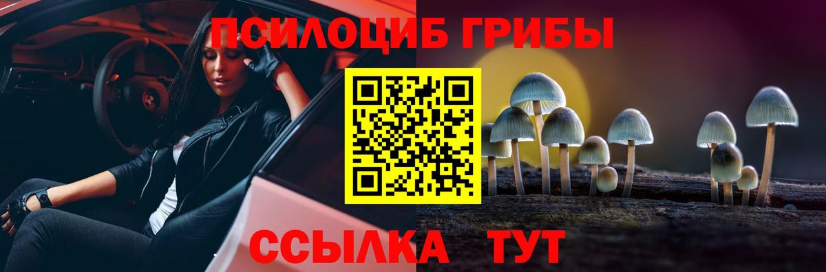 Галлюциногенные грибы Cubensis  Вход с VPN  Белово 